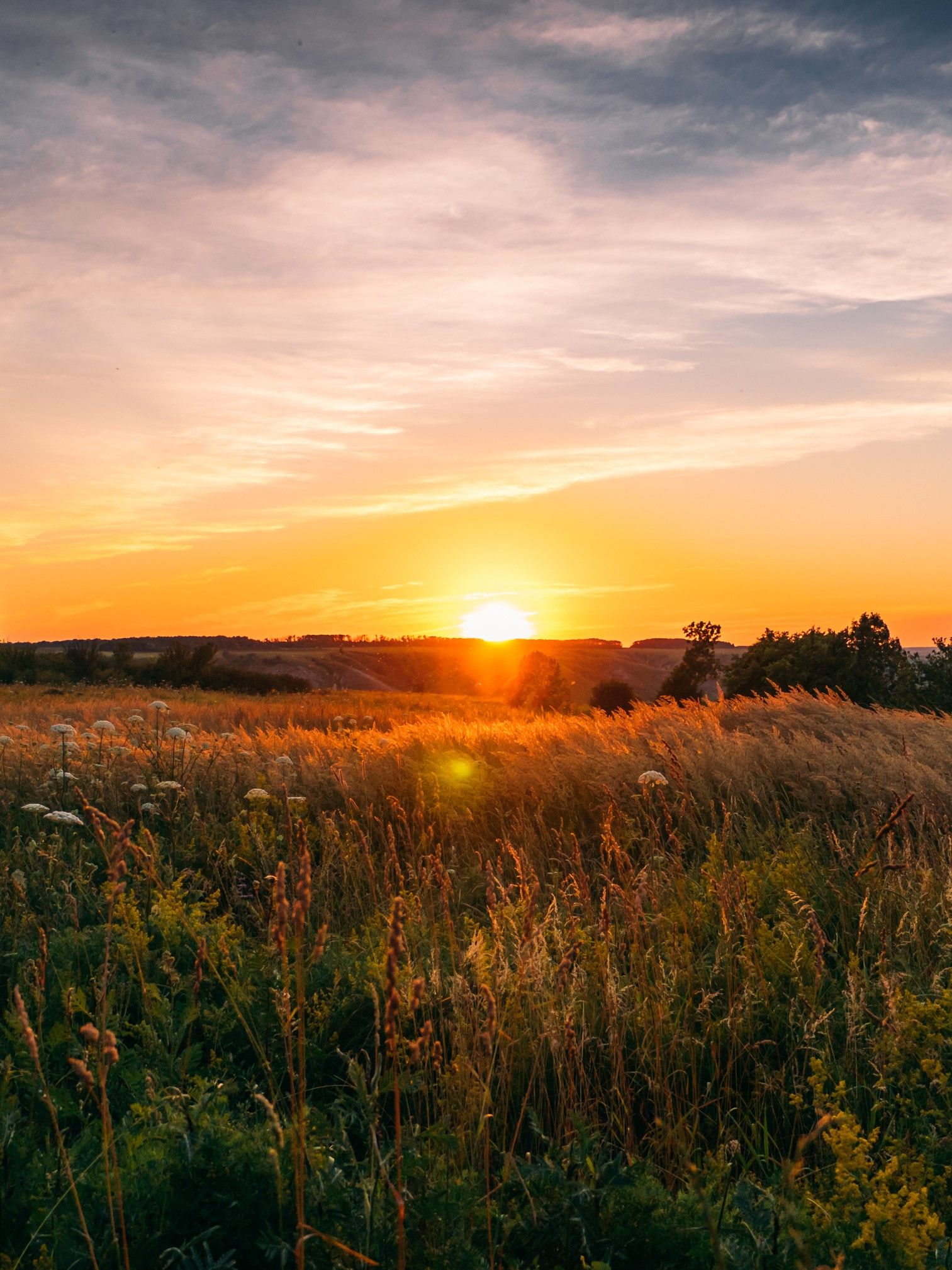 Sunset Image Portrait