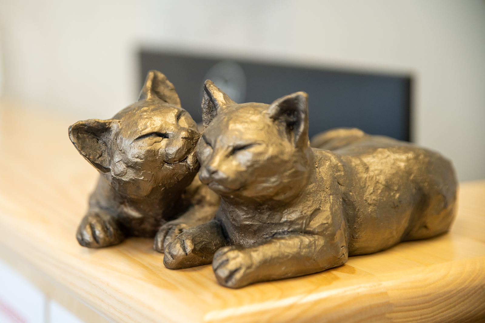 Cat Clinic ornament
