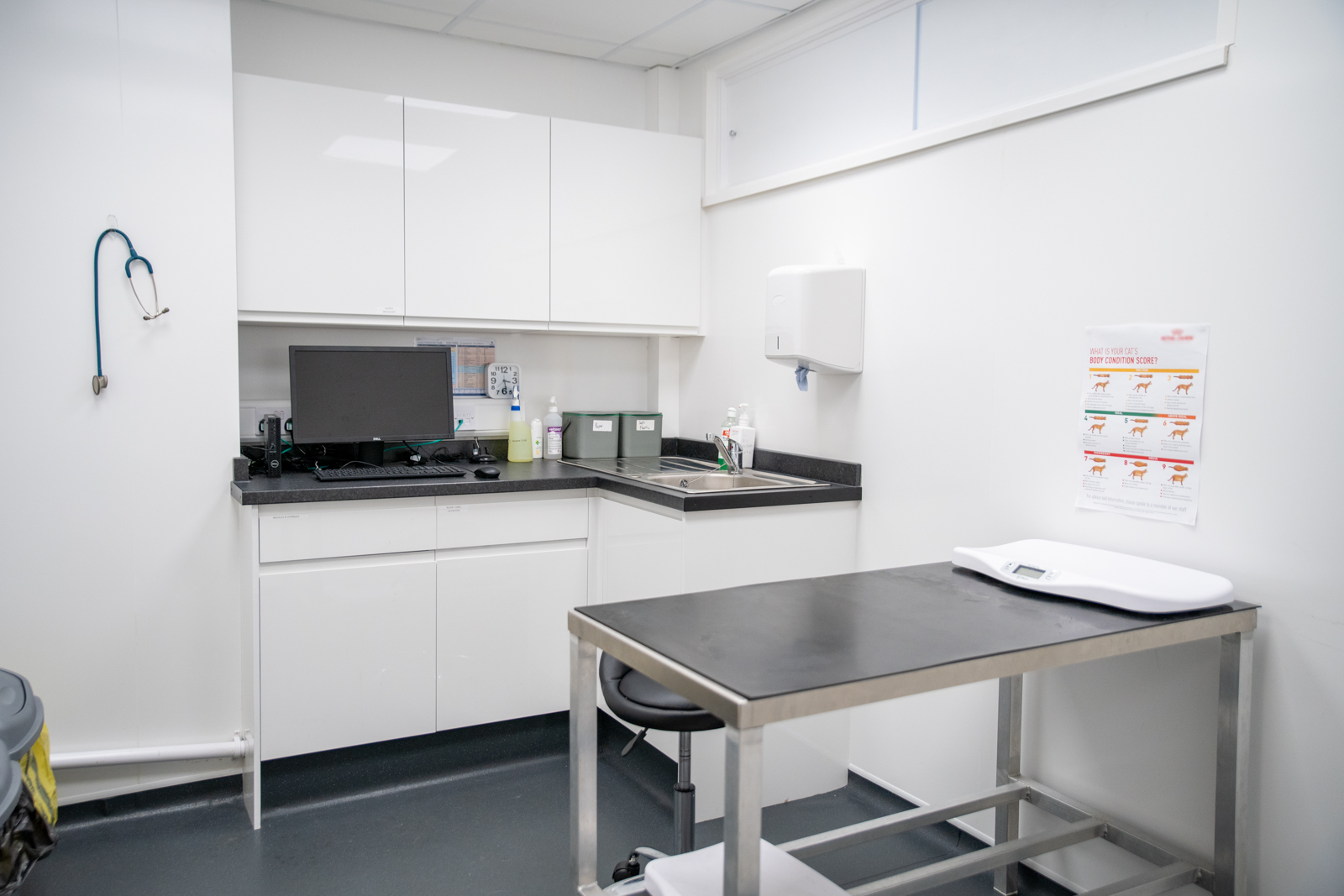 Cat Clinic consultation room