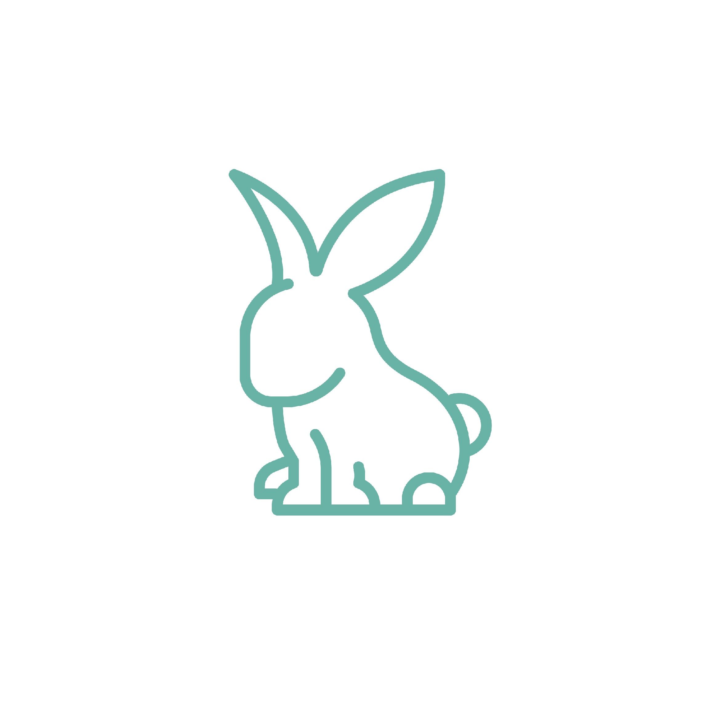 Rabbit icon